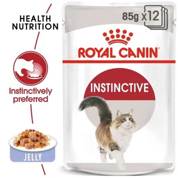 Royal Canin Adult Jelly