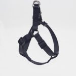 dog harness 1
