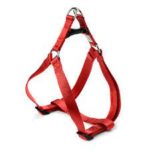 dog harness 2