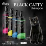 Black catty 123