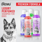 perfume shampoo dog