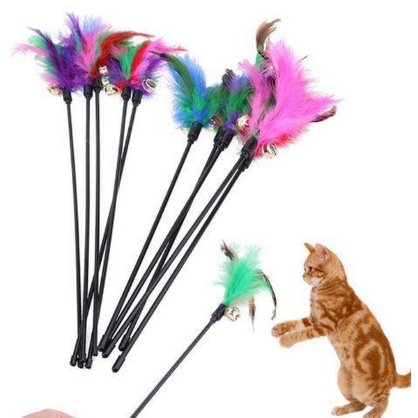 cat toy