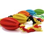 Dental Rugby Ball With Rope