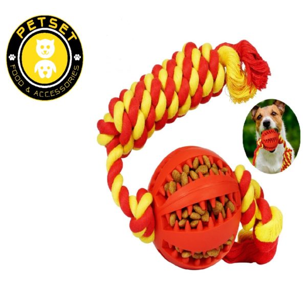 rope dog