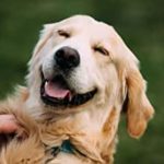 b31e94c0 f46c 4177 b8c9 e0504ff4ba42. CR01201200628 SX414 QL70