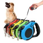 p dog cat leash