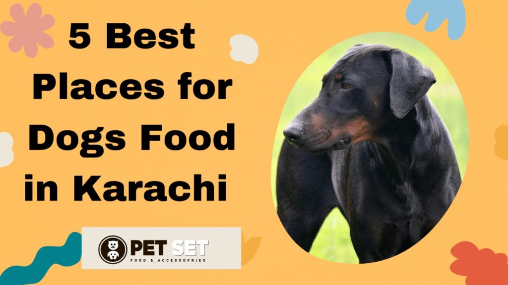 places for dogs food in karachi