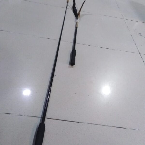 Extended Cat Stick
