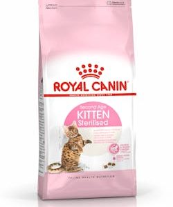 16 kitten sterilised b1 ne