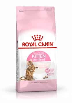 16 kitten sterilised b1 ne
