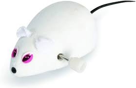 Modeling Mouse Toy Key Control