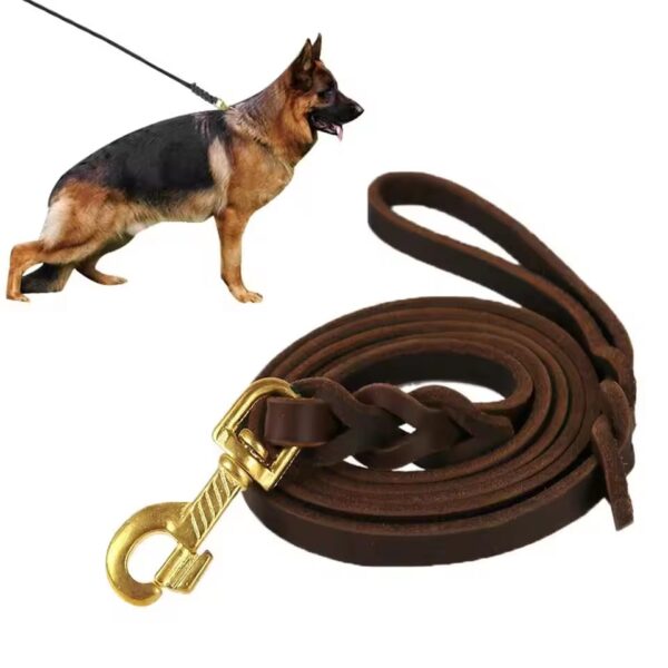 Show Leash For Pets