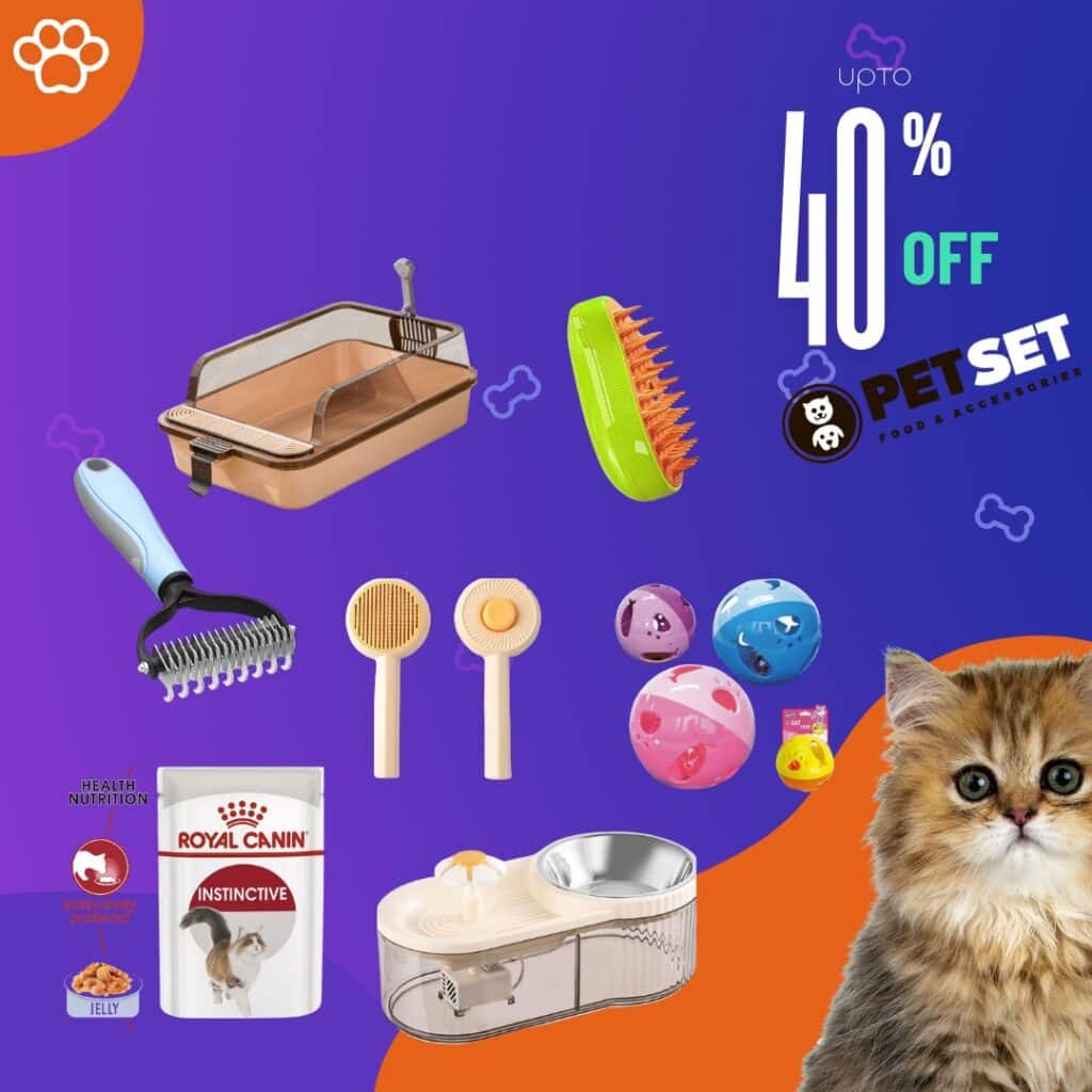 Up to 40% OFF on Pet Essentials – Give Your Pets the Care They Deserve!