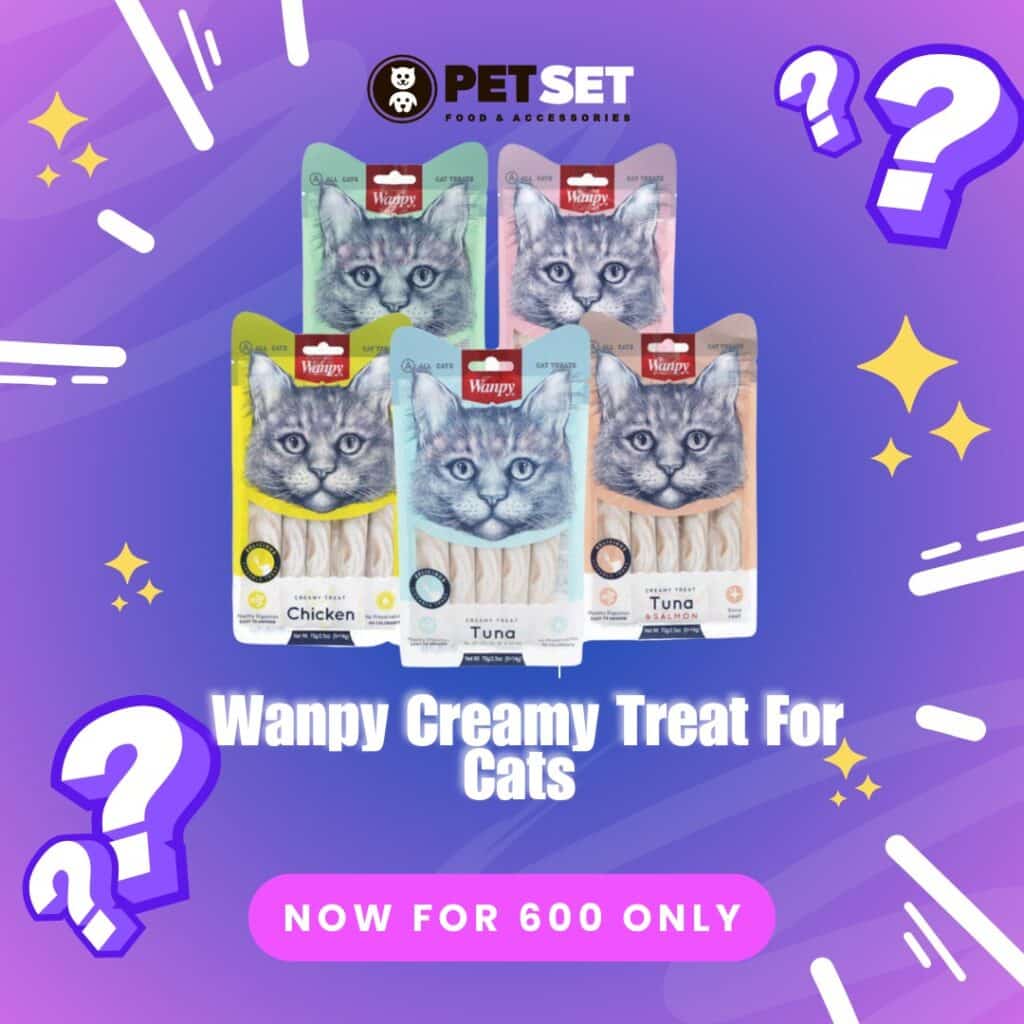 Wanpy Is a Game-Changer for Cat Parents