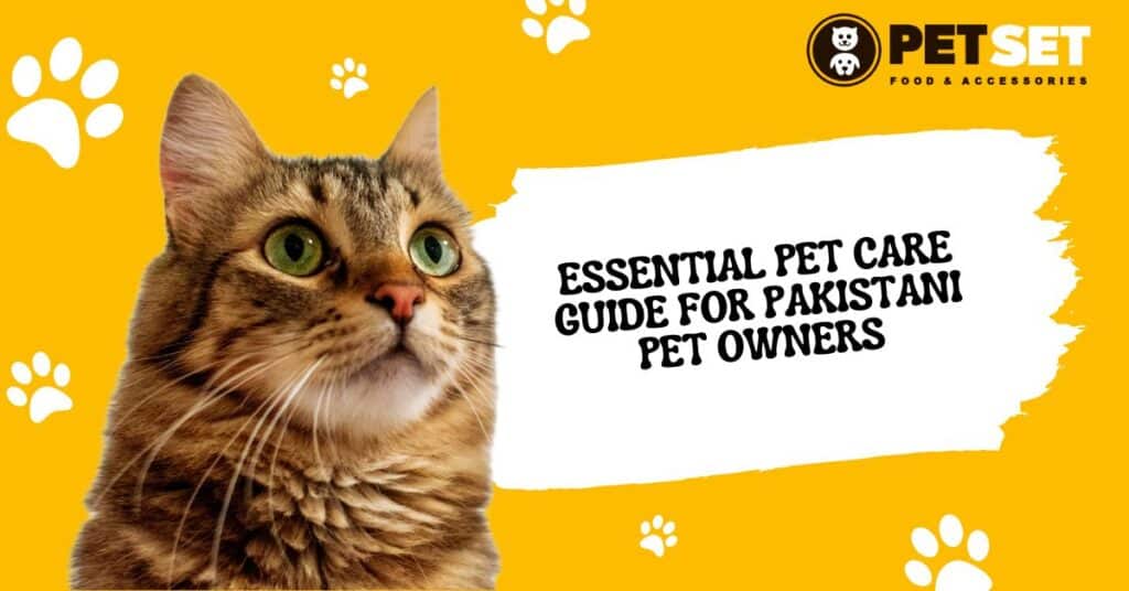 Essential Pet Care Guide for Pakistani Pet Owners