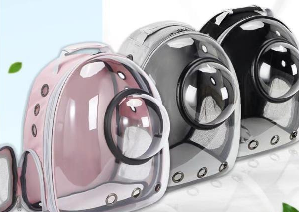 Transparent Pet Carrier with Hood