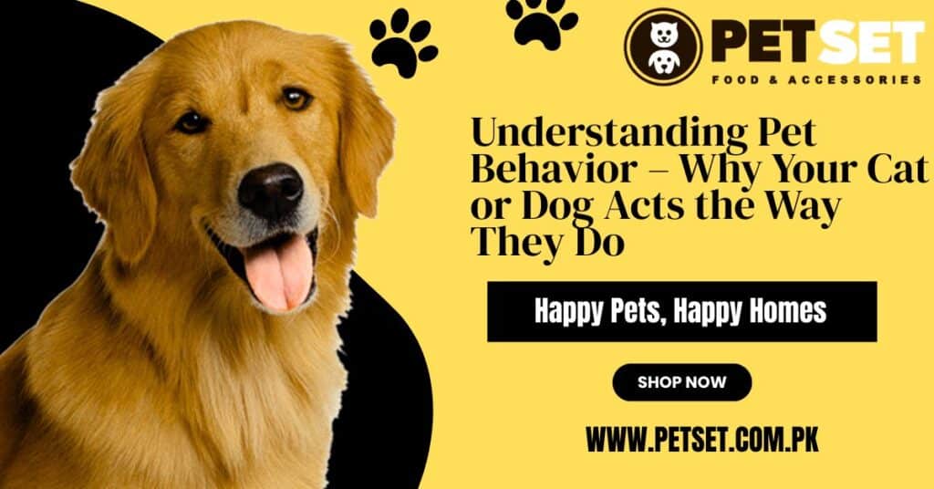 Understanding Pet Behavior – Why Your Cat or Dog Acts the Way They Do