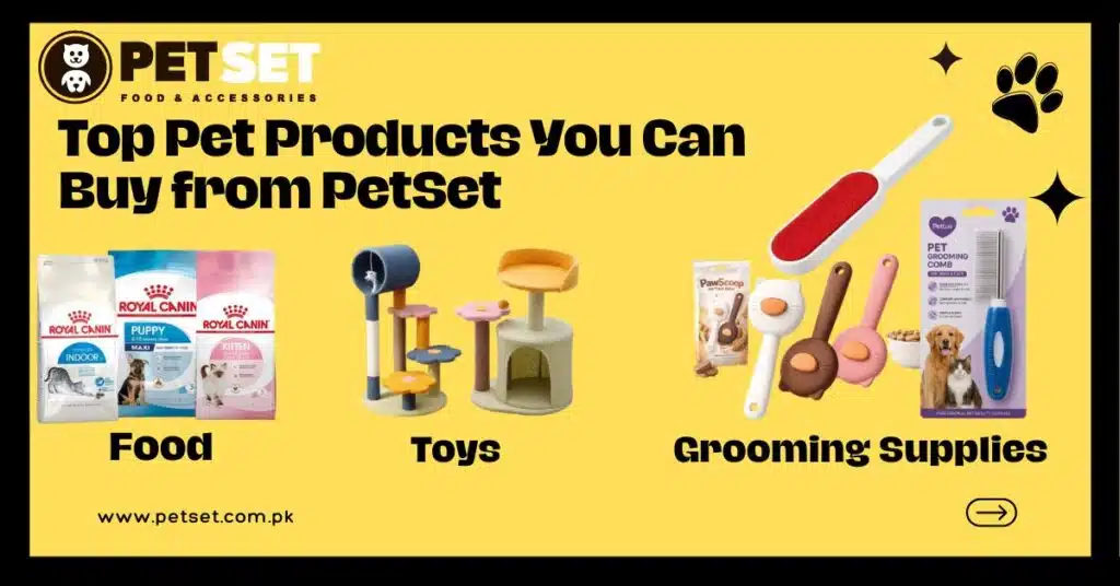 Top Pet Products You Can Buy from PetSet