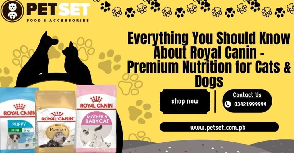 Everything You Should Know About Royal Canin – Premium Nutrition for Cats & Dogs