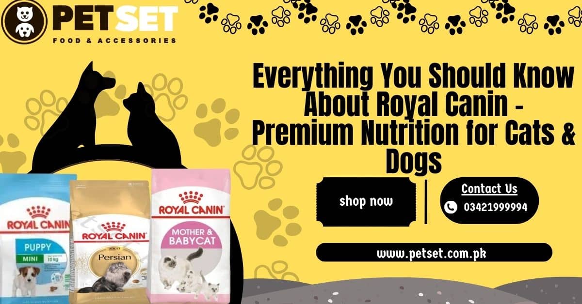 Everything You Should Know About Royal Canin – Premium Nutrition for Cats & Dogs
