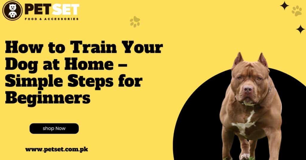 How to Train Your Dog at Home – Simple Steps for Beginners
