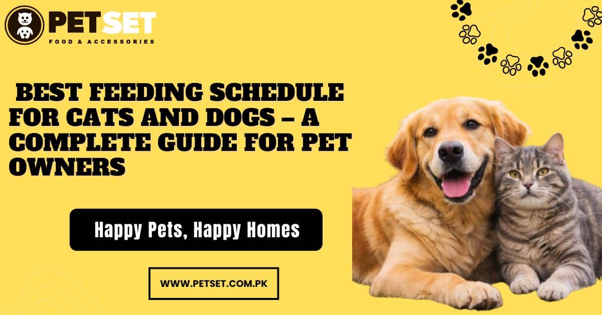 Best Feeding Schedule for Cats and Dogs – A Complete Guide for Pet Owners
