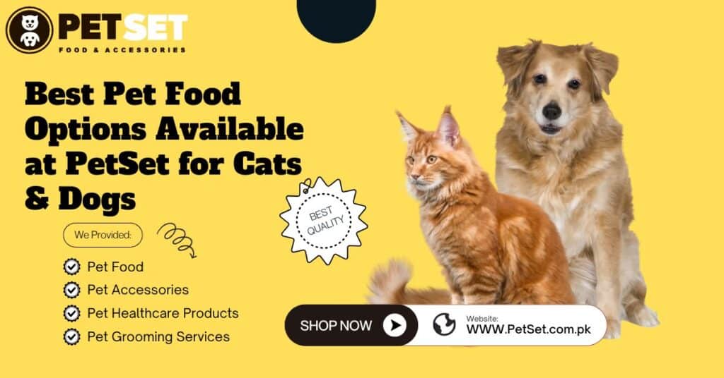 Best Pet Food Options Available at PetSet for Cats & Dogs