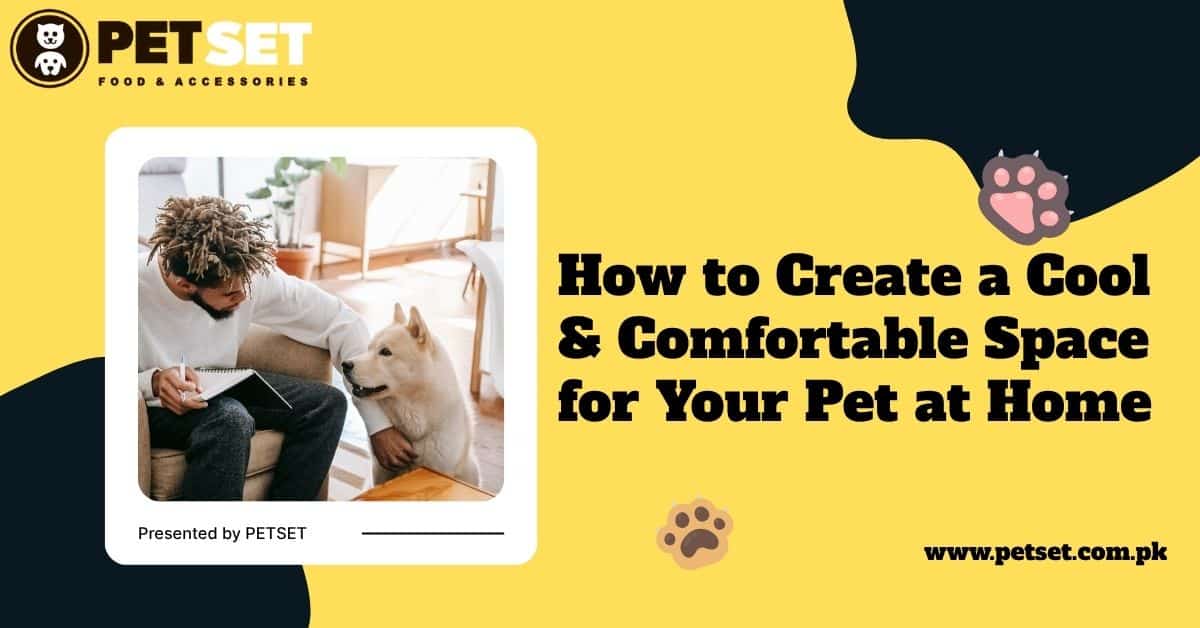 How to Create a Cool & Comfortable Space for Your Pet at Home